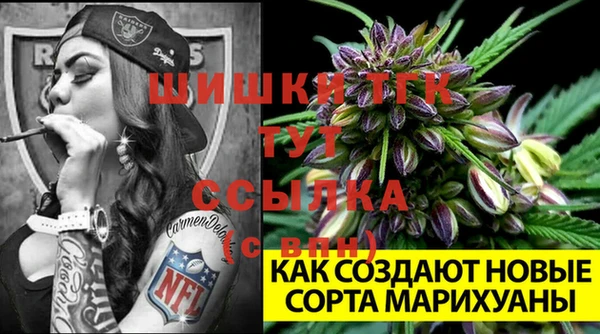 соль ск Абдулино