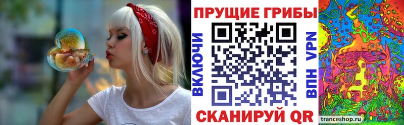 Галлюциногенные грибы Psilocybine cubensis  Уржум 